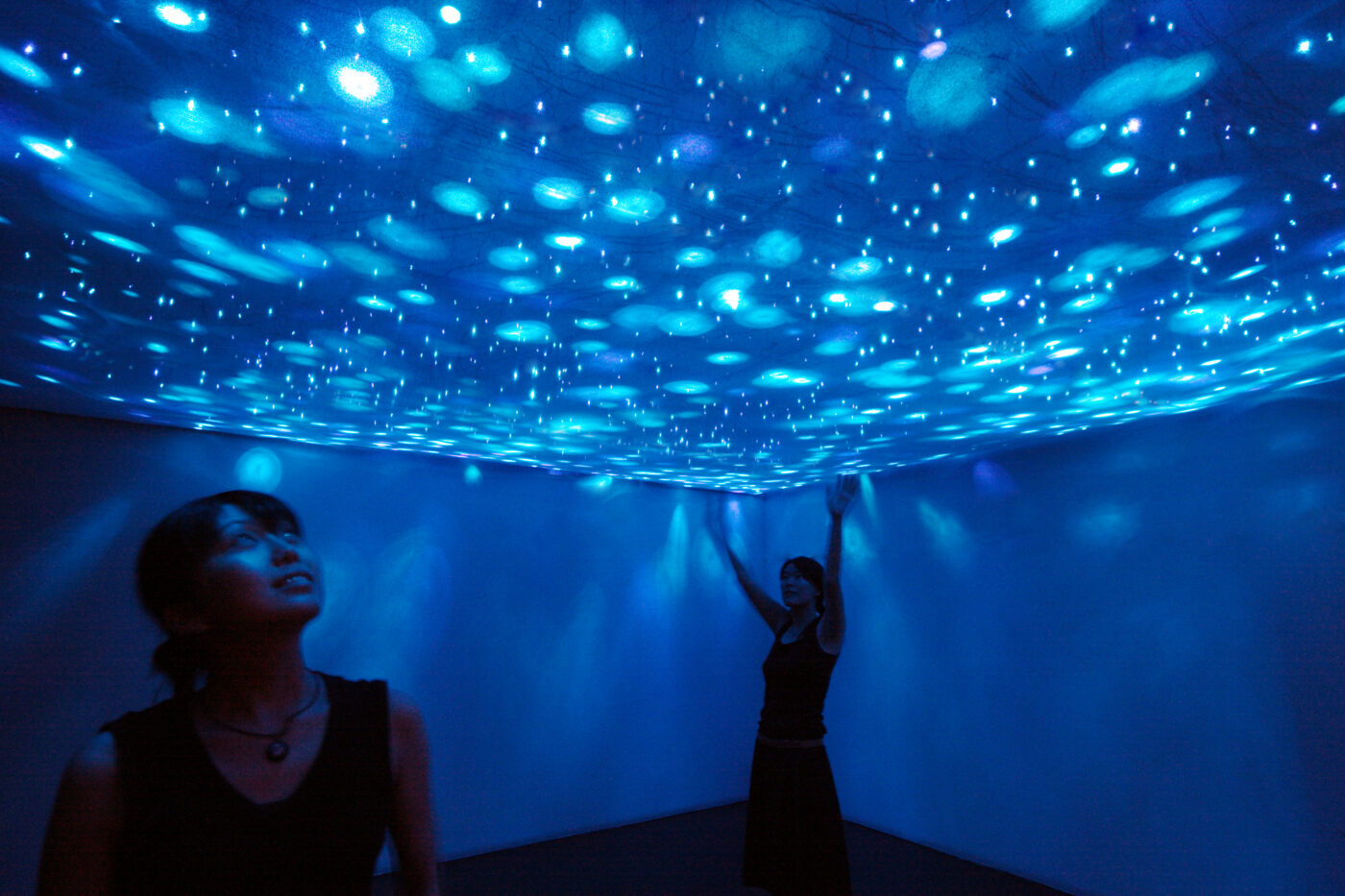 Noctiluca(1)