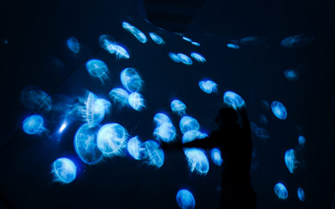 Aquatic Colors