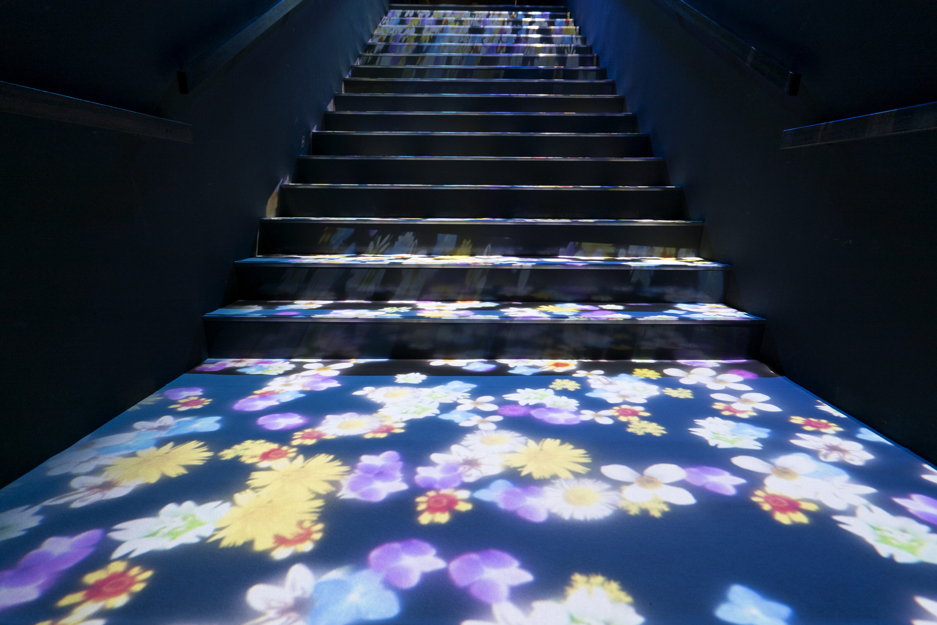 Flowerfall