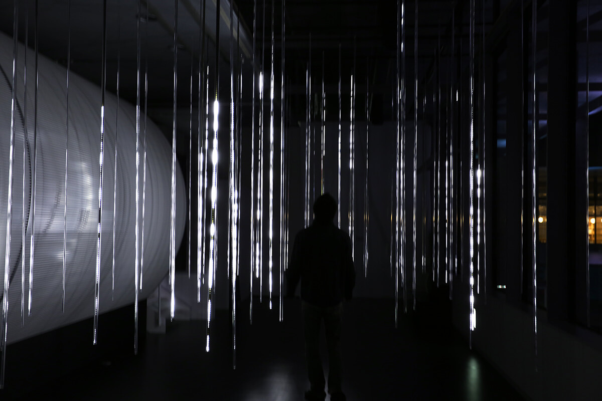 Lights in Snowland(1)