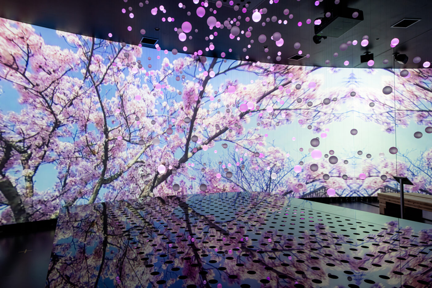 K.L.V / EXPO 2025 OSAKA, KANSAI, Japan "Kansai Pavilion" Shiga(2)