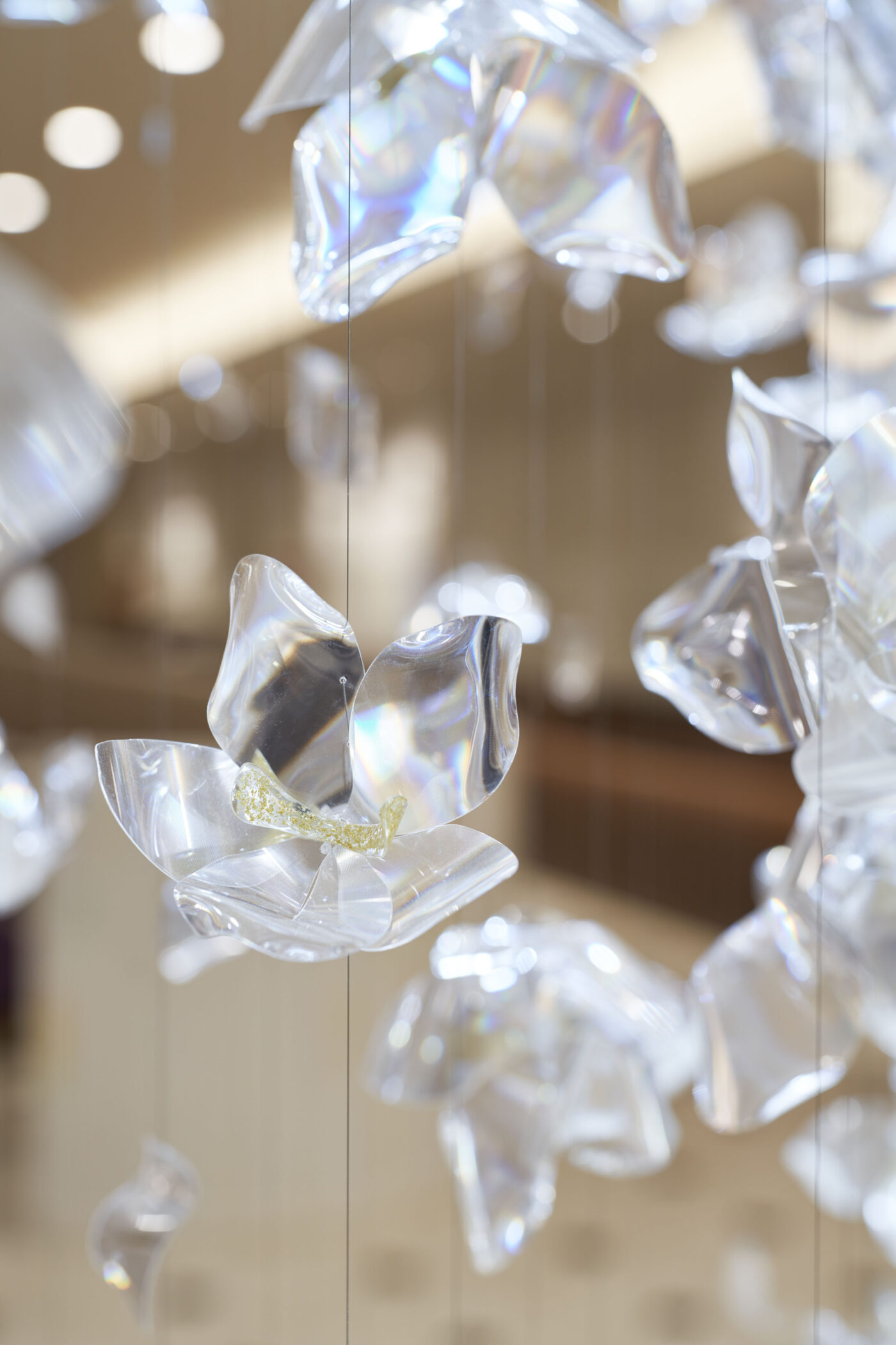 Le cristal des rêves(19)