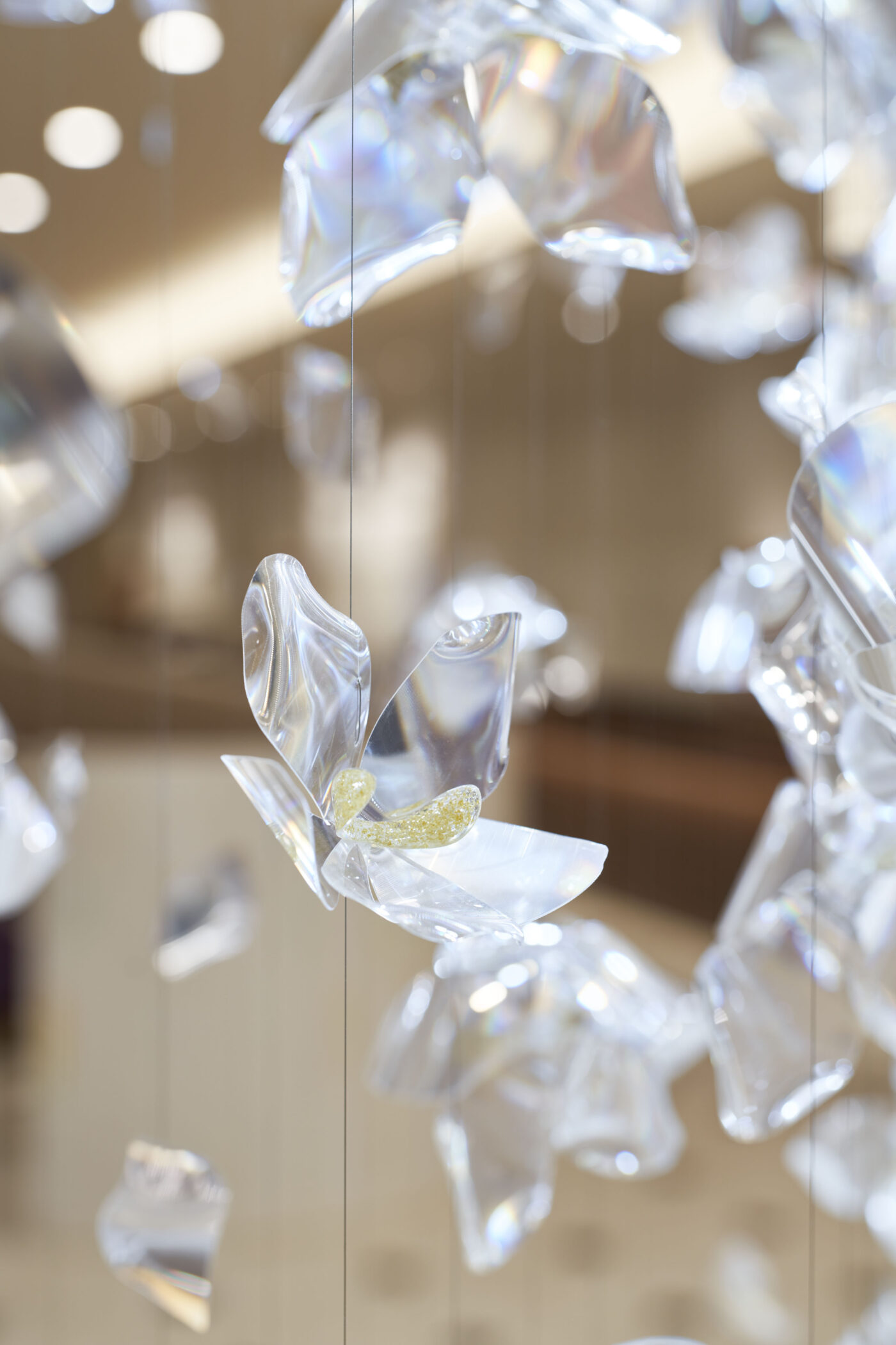 Le cristal des rêves(14)