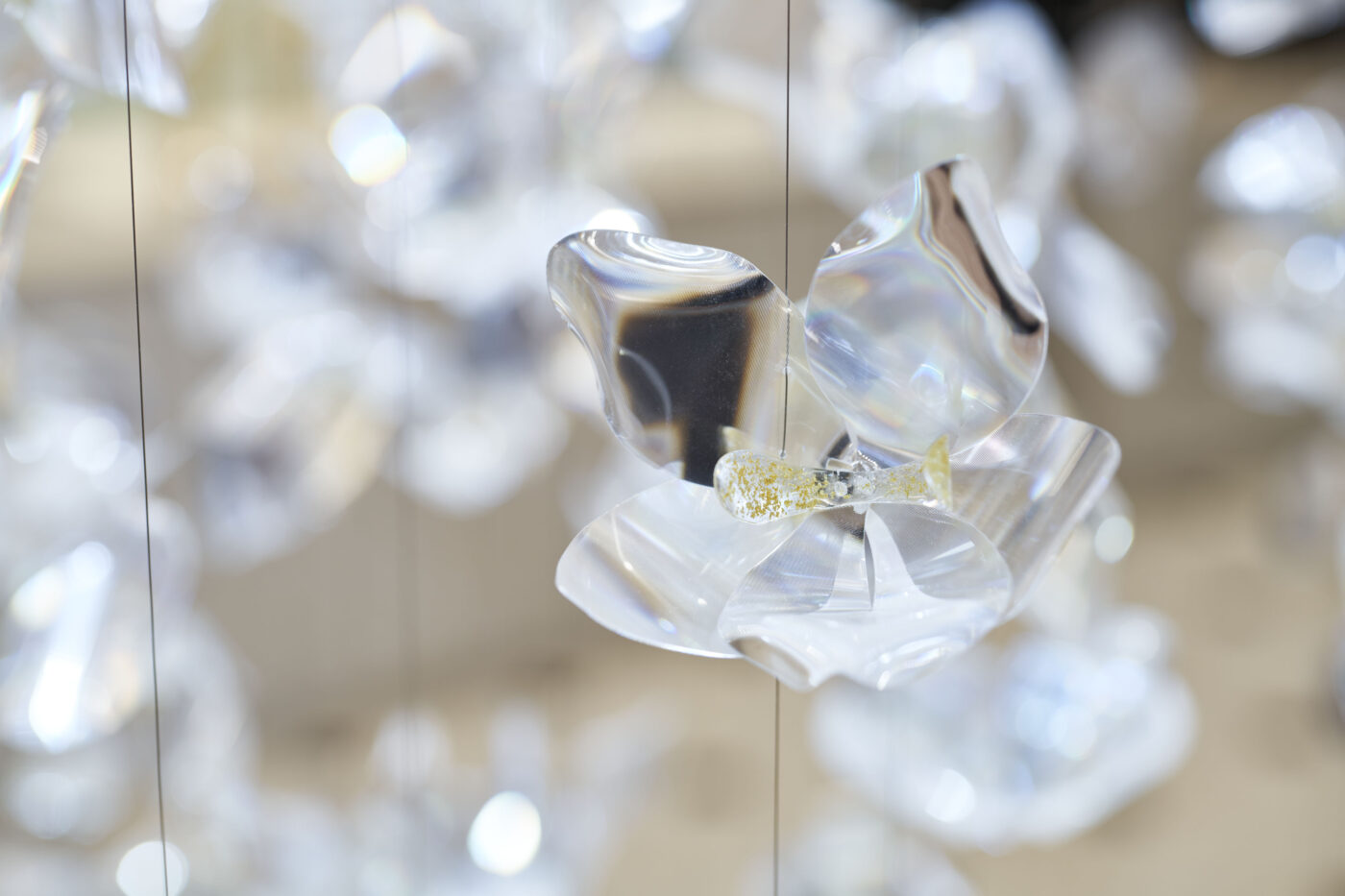 Le cristal des rêves(13)